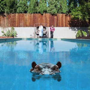 Image for 'Hippopotamus'