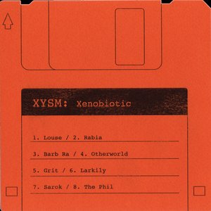 “XYSM”的封面