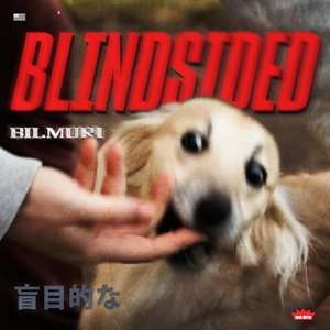 Image for 'BLINDSIDED'