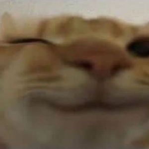 Cheesesticks01