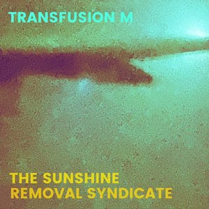 Image for 'The Sunshine Removal Syndicate'