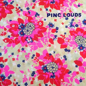 Image for 'Pinc Louds'