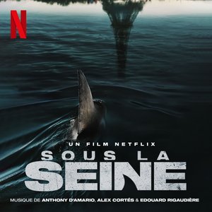 Изображение для 'Sous la Seine (Musique du Film Netflix)'