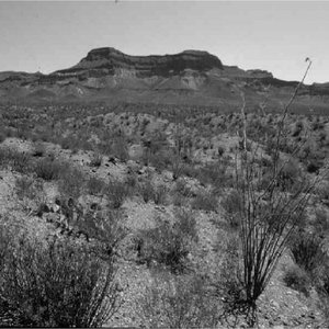 Image for 'New Mexican Stargazers'