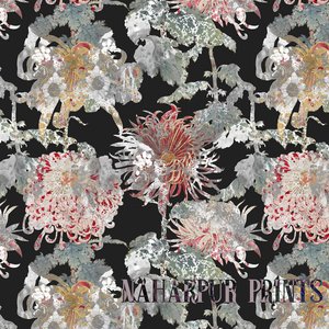 “Naharpur Prints”的封面