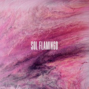 Image for 'Sol Flamingo'
