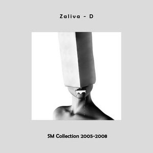 Bild für 'SM Beat Collection 2005-2008'