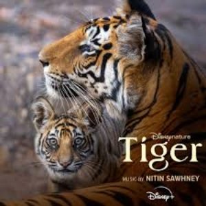 “Disneynature: Tiger (Original Soundtrack)”的封面