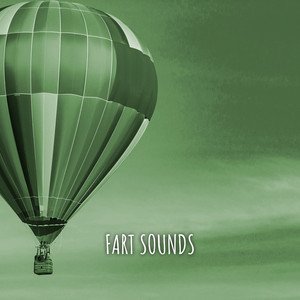 Image for 'FART SOUNDS'