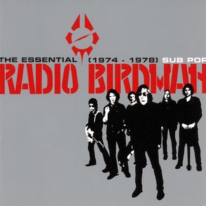 Bild für 'The Essential Radio Birdman'