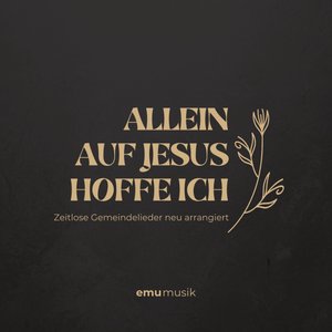 Image for 'Allein Auf Jesus Hoffe Ich - Zeitlose Gemeindelieder Neu Arrangiert'