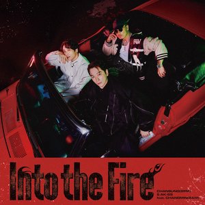 Image for 'Into the Fire'