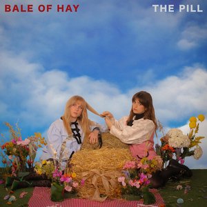 Image for 'Bale of Hay'