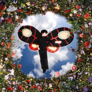 Image for 'Les Ailes'