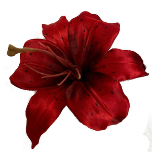 paulaaplanas