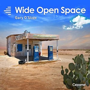 “Wide Open Space”的封面