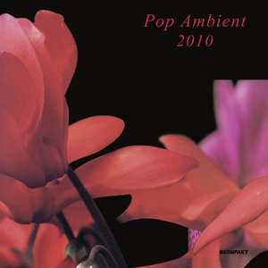 Bild för 'Pop Ambient 2010'