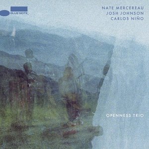 Image for 'Openness Trio'