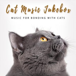 “Music for Bonding with Cats”的封面