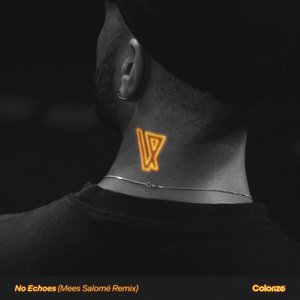 Image for 'No Echoes (Mees Salomé Remix)'