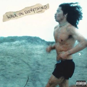 Изображение для 'Walk On Everything'