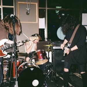 “Absolutely You”的封面