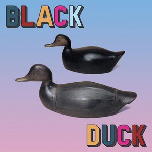 “black duck”的封面