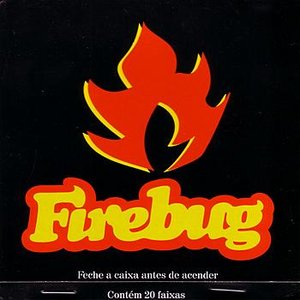 “Firebug”的封面