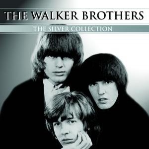 Image for 'The Silver Collection'
