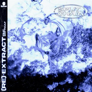 Image for '(Re)-Extract'