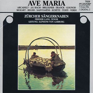 Image for 'Choral Concert: Zurich Boys Choir - Bach, J.S. / Gounod, C.-F. / Bruckner, A. / Franck, C. / Verdi, G. / Schutz, H. / Mozart, W.A.'