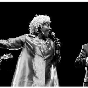 Image for 'Martha High & Shaolin Temple Defenders'