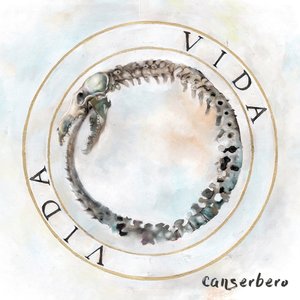 Изображение для 'Vida'