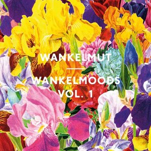 Image for 'Wankelmoods Vol. 1'