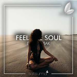 Image for 'Feel the Soul'