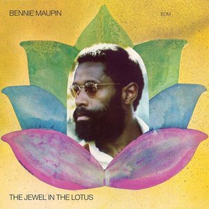 Image for 'The Jewel In The Lotus'