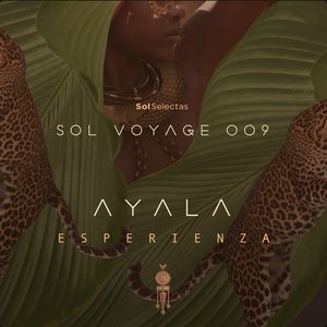 Image for 'Sol Voyage 009 - Esperienza (DJ Mix)'