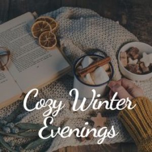 Image for 'Cozy Winter Evenings'