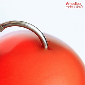 Image for 'Amodioa'