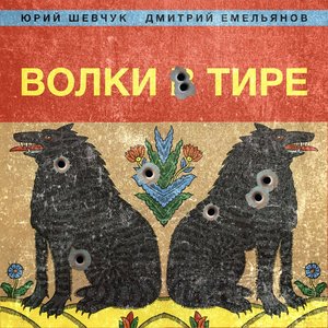 “Волки в тире”的封面