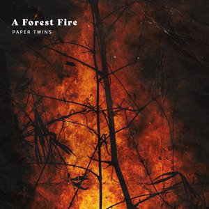 Imagem de 'A Forest Fire'