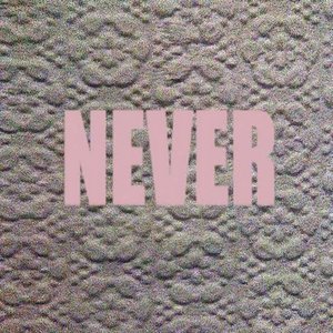 Image for 'Never'