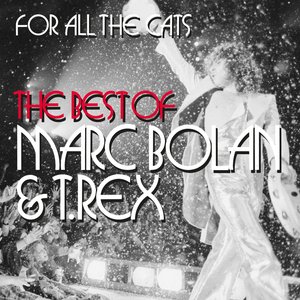 Image for 'For All The Cats - The Best Of Marc Bolan And T. Rex'