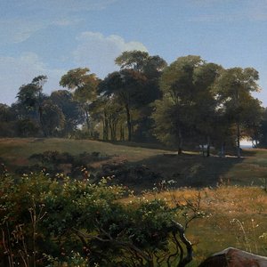 Image for 'Woodland Kingdom'