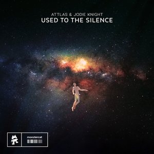 “Used to the Silence”的封面