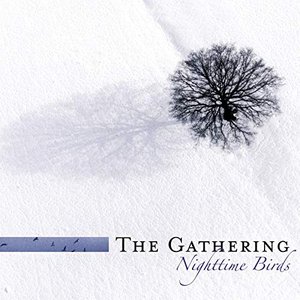 Image for 'Nighttime Birds (Re-issue 2007 incl. Bonus tracks)'