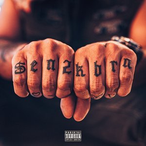 Изображение для 'SEN2 KBRN VOL. 1'