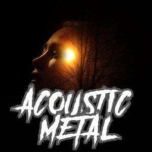 Image for 'Acoustic Metal'