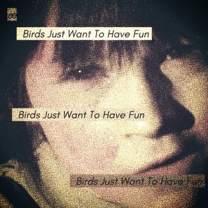 “Birds Just Want To Have Fun”的封面