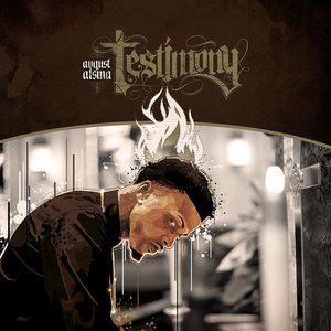 “Testimony (Deluxe)”的封面